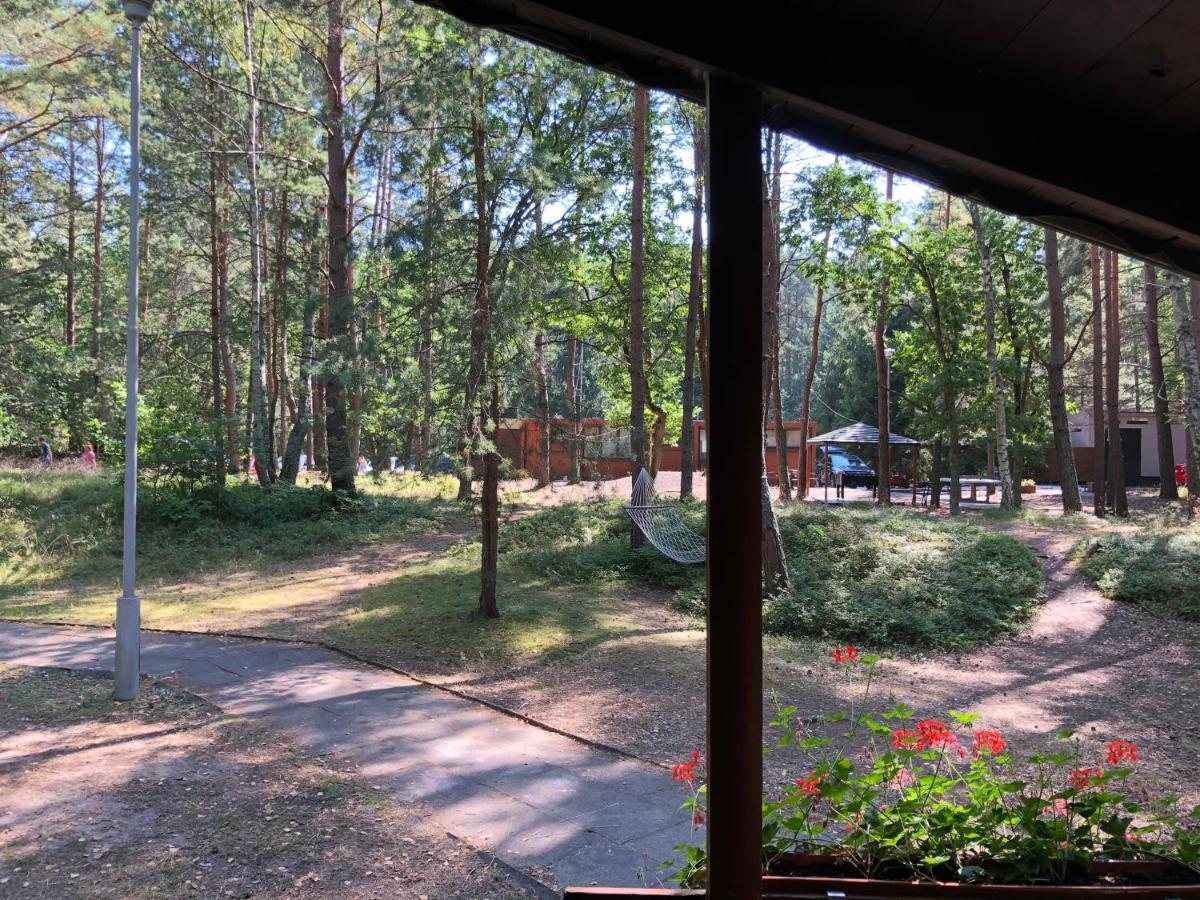 Resort Lesnik Bungalow Stegna - Nad Morzem